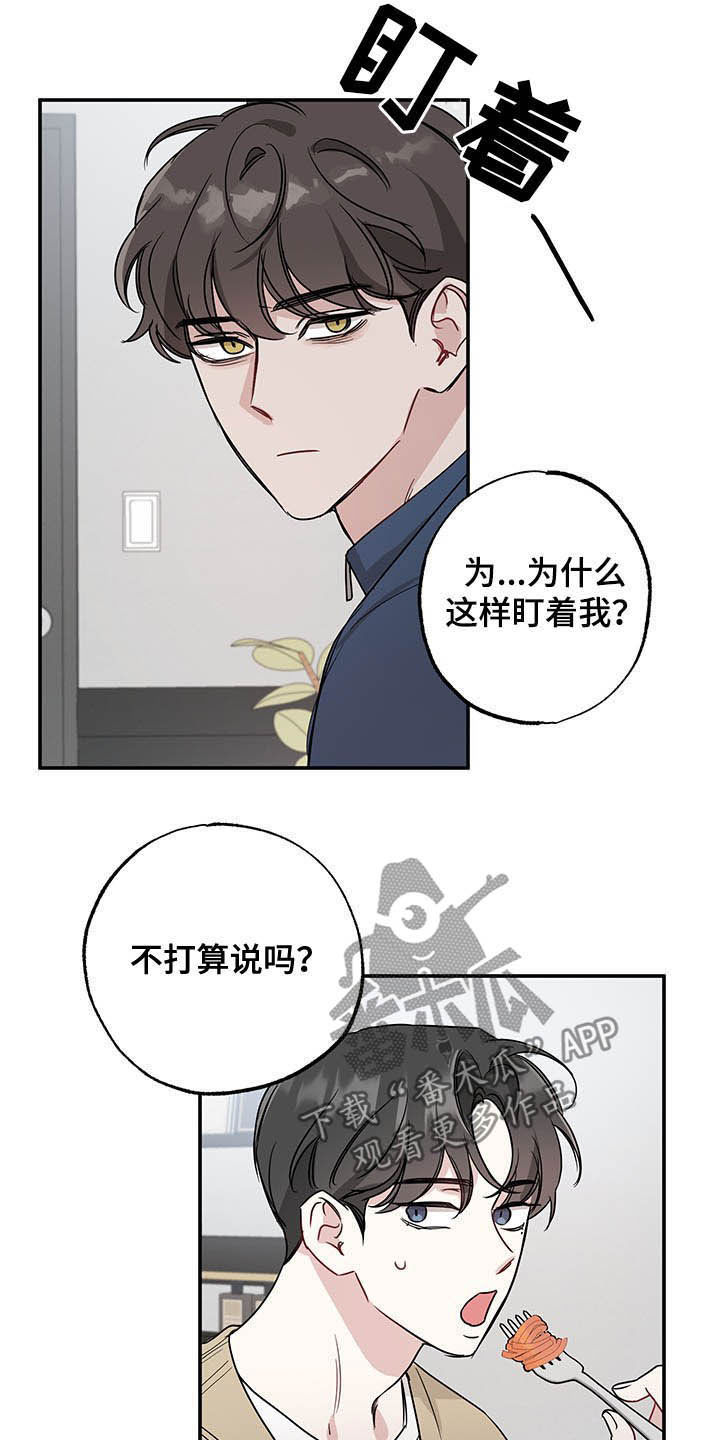 坏孩子军团评价乔丹漫画,第17章：全盘托出1图