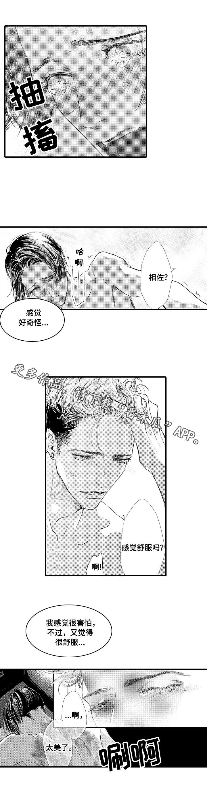 完美的作品电影漫画,第13章：捕猎者2图