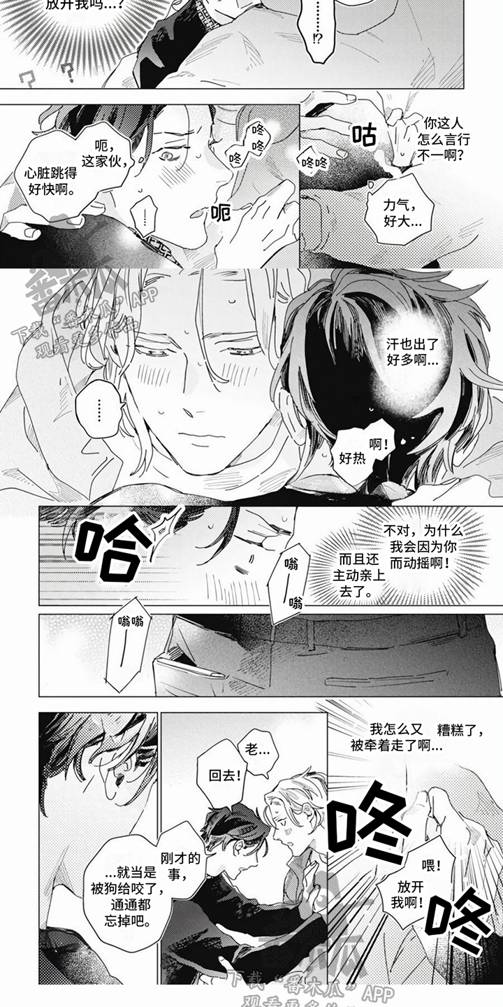 回响之音漫画,第12章：喜欢1图