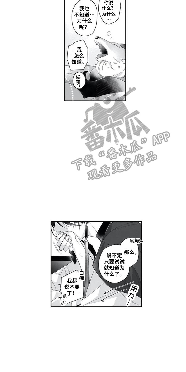 家神供奉在什么位置漫画,第11章：独占欲2图