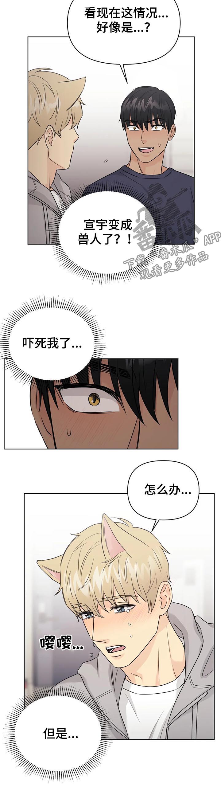 爱我的猫上司漫画资源漫画,第62章：【番外】呆呆的宣宇11图
