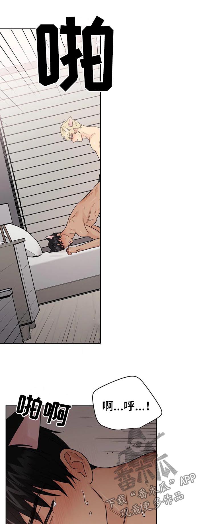 爱我的猫上司漫画资源漫画,第63章：【番外】呆呆的宣宇22图