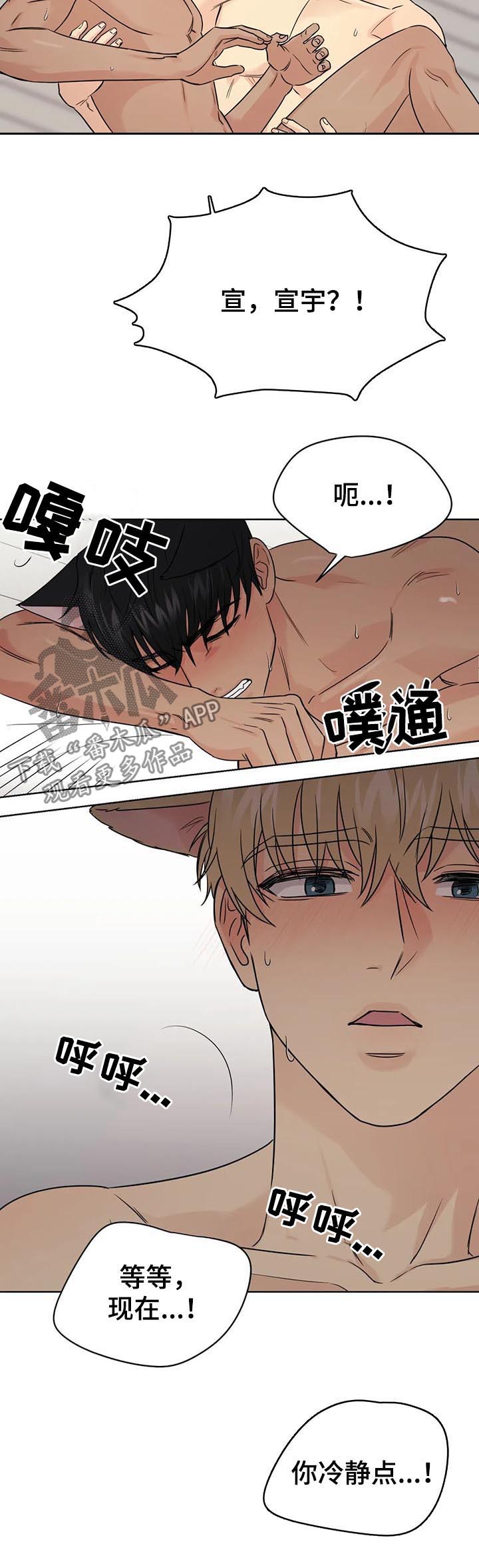 爱我的猫上司漫画资源漫画,第63章：【番外】呆呆的宣宇21图