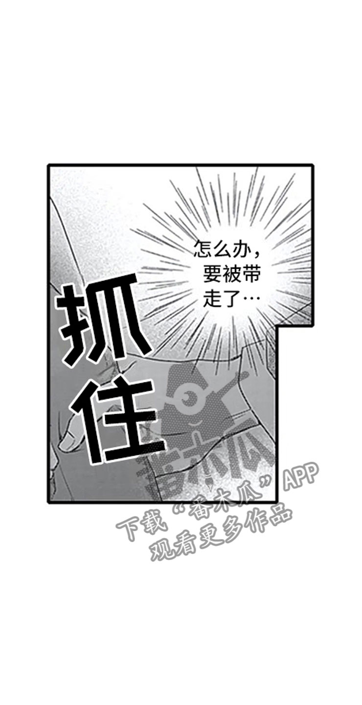 独占鳌头白酒漫画,第12章：抓包1图