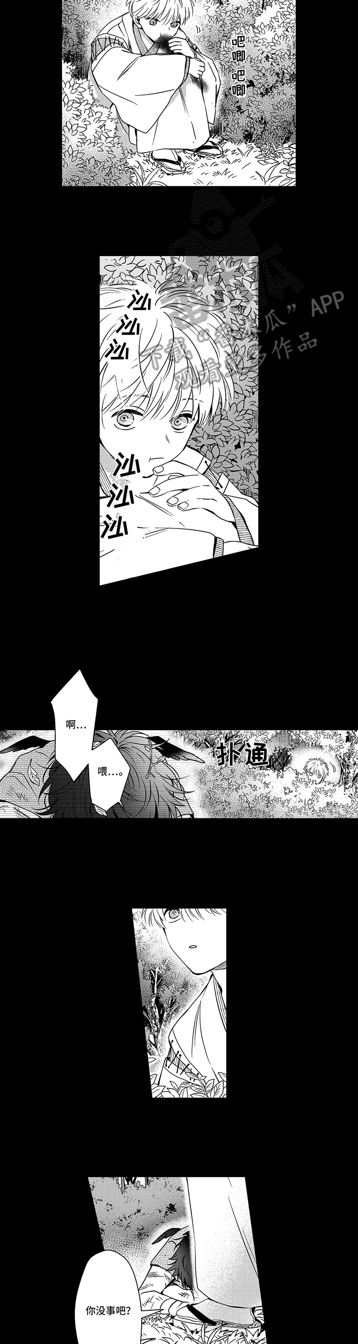 不会飞的新西兰鸟漫画,第24章：初见1图