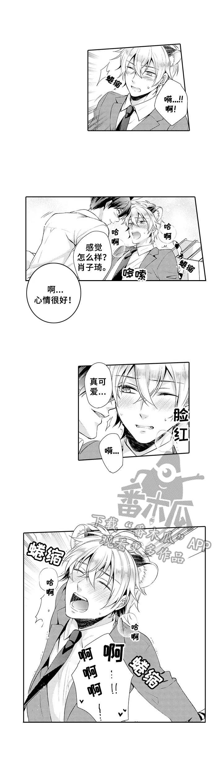 肉食系守则漫画,第16章：表白2图
