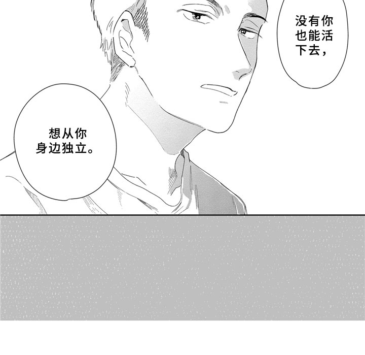 安静的胖兔子漫画,第13章：独立1图