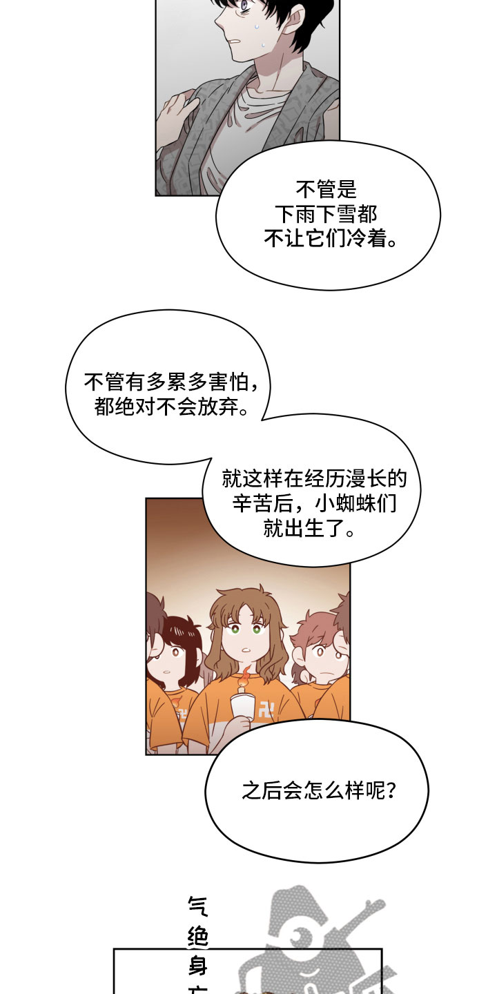 亲爱的邻居韩剧漫画,第4章：蜘蛛的故事1图