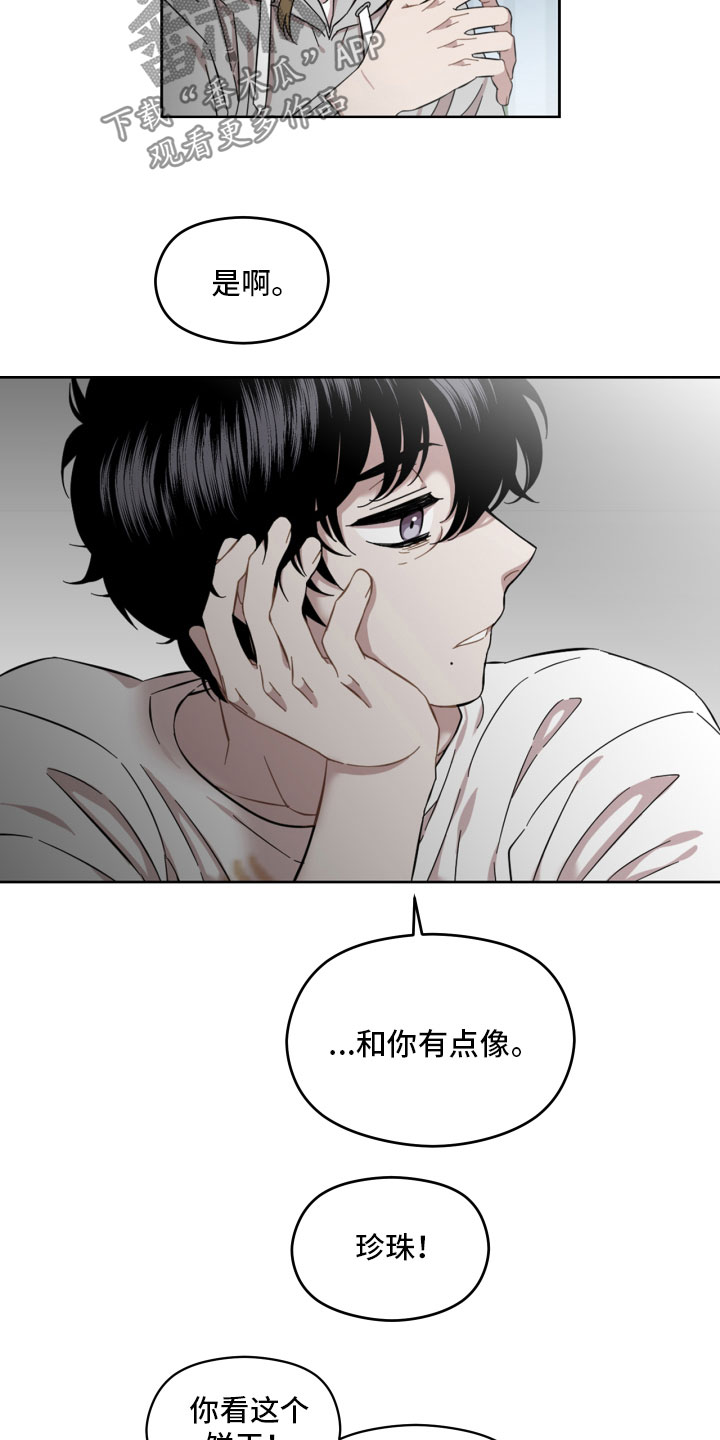 亲爱的lily漫画,第13章：相处1图