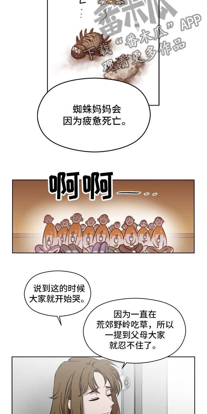 亲爱的邻居韩剧漫画,第4章：蜘蛛的故事2图