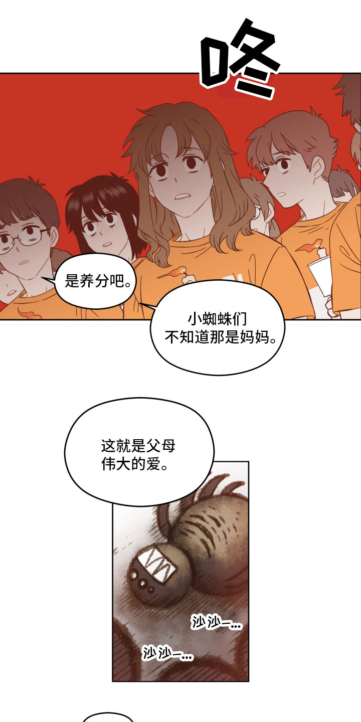 亲爱的邻居完整版韩剧漫画,第4章：蜘蛛的故事2图