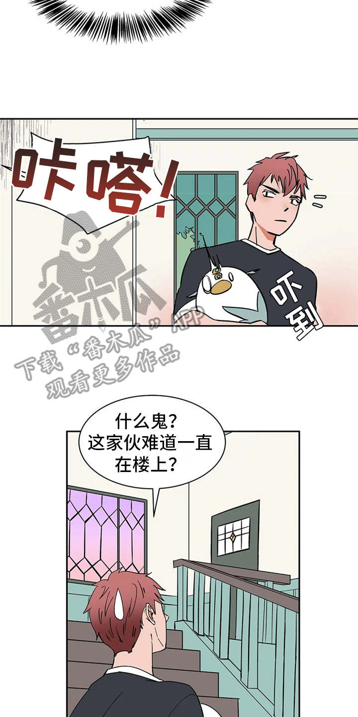 天神的装备怎么配漫画,第16章：自由翱翔2图