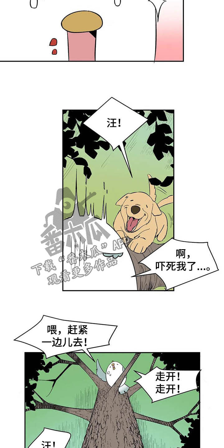 天神的装备怎么配漫画,第20章：不许看！1图