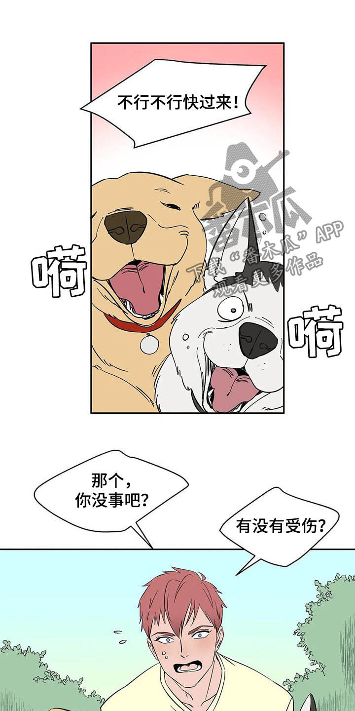 天神的装备怎么配漫画,第20章：不许看！1图