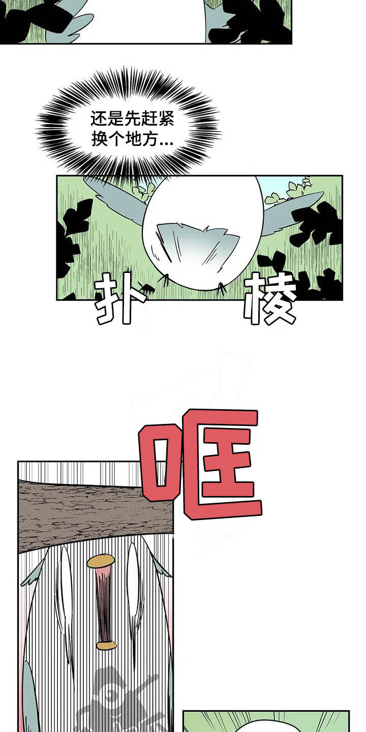 天神的装备怎么配漫画,第20章：不许看！1图