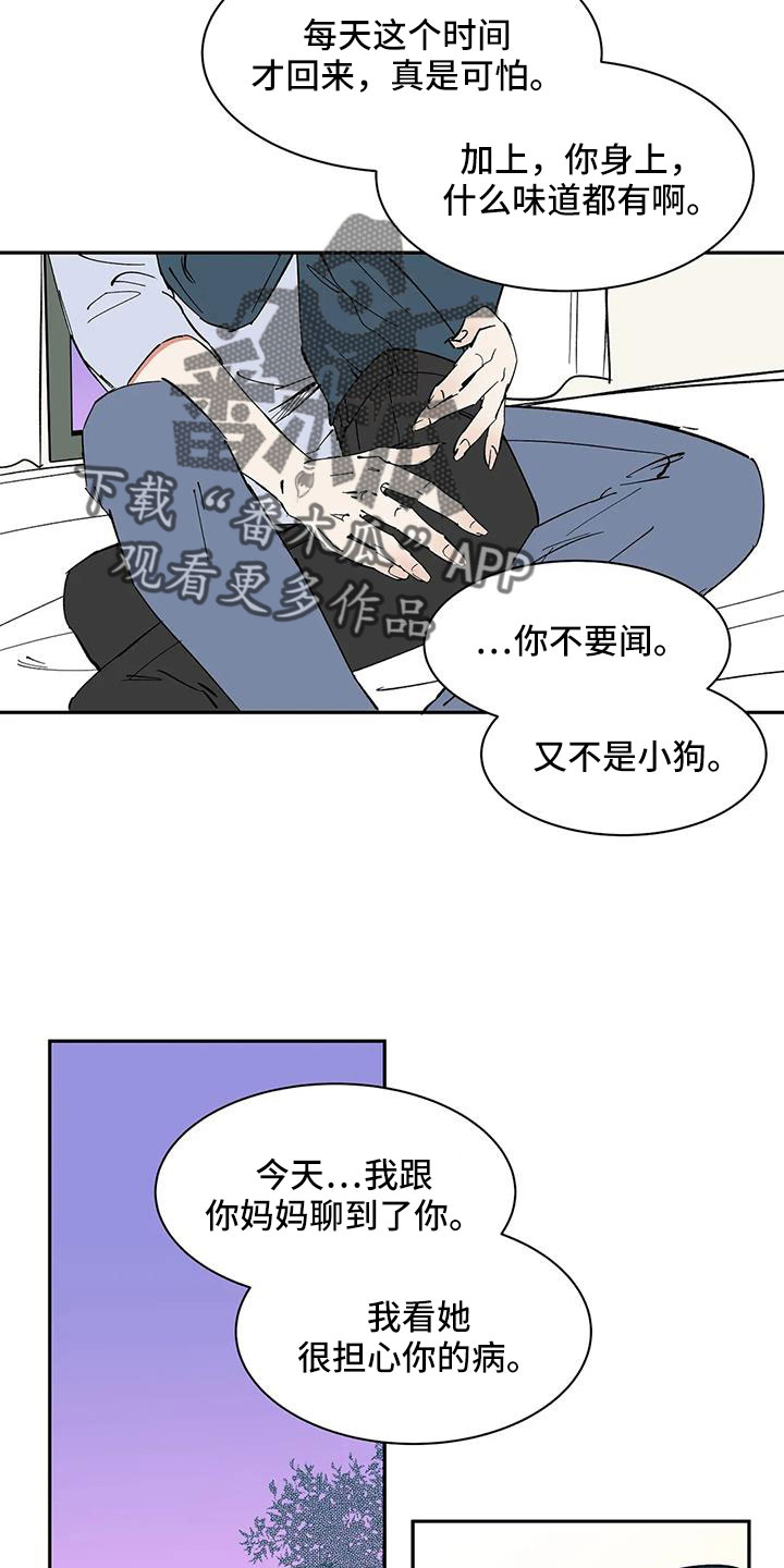 天神的装备怎么配漫画,第91章： 【第二季】只有我能碰2图
