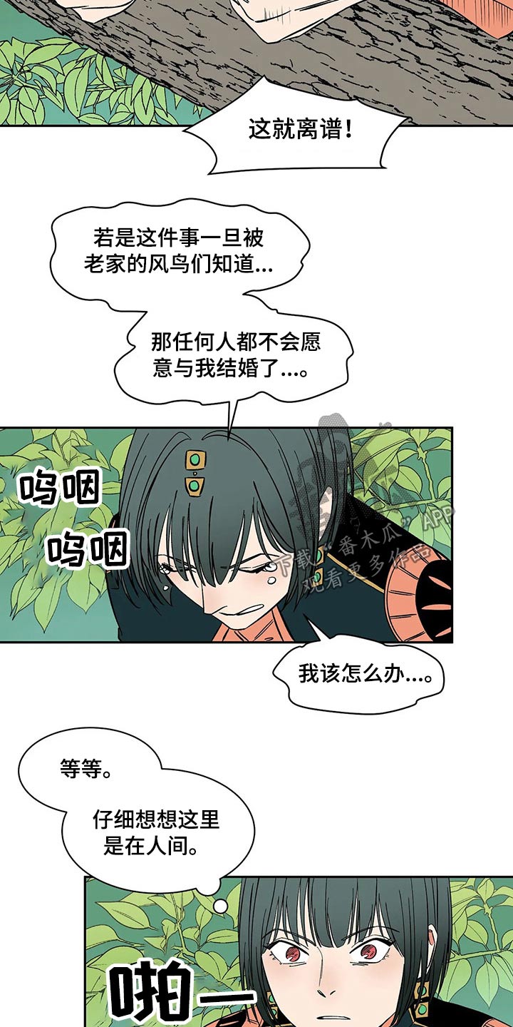 天神的姻缘漫画,第24章：习俗2图