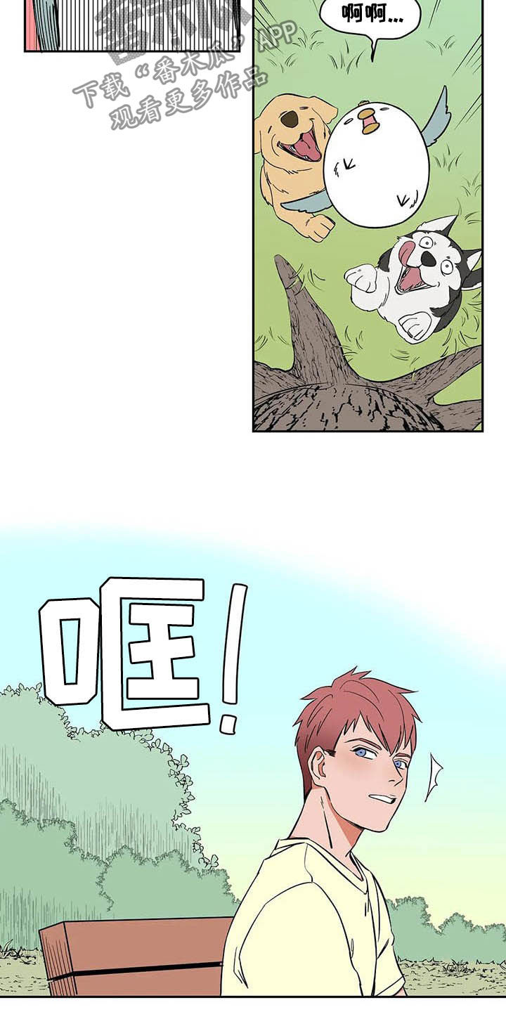 天神的装备怎么配漫画,第20章：不许看！2图