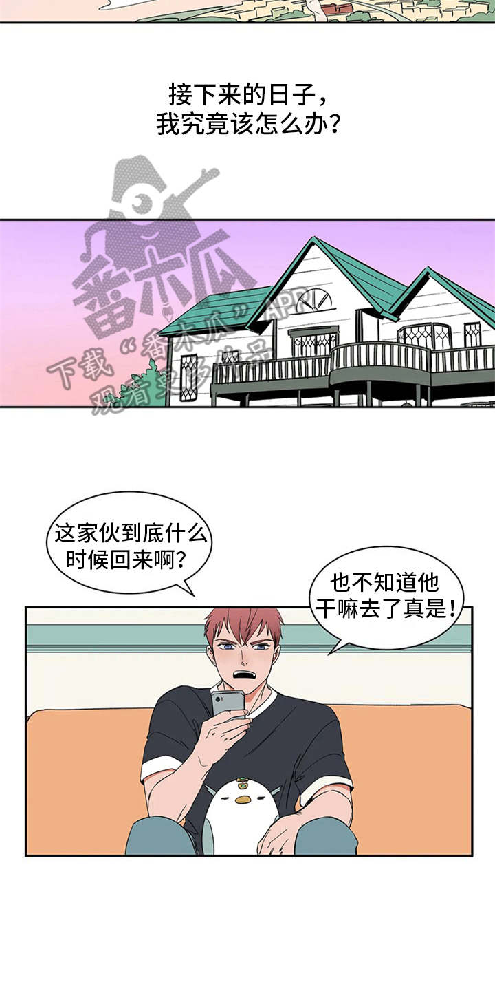 天神的装备怎么配漫画,第16章：自由翱翔2图