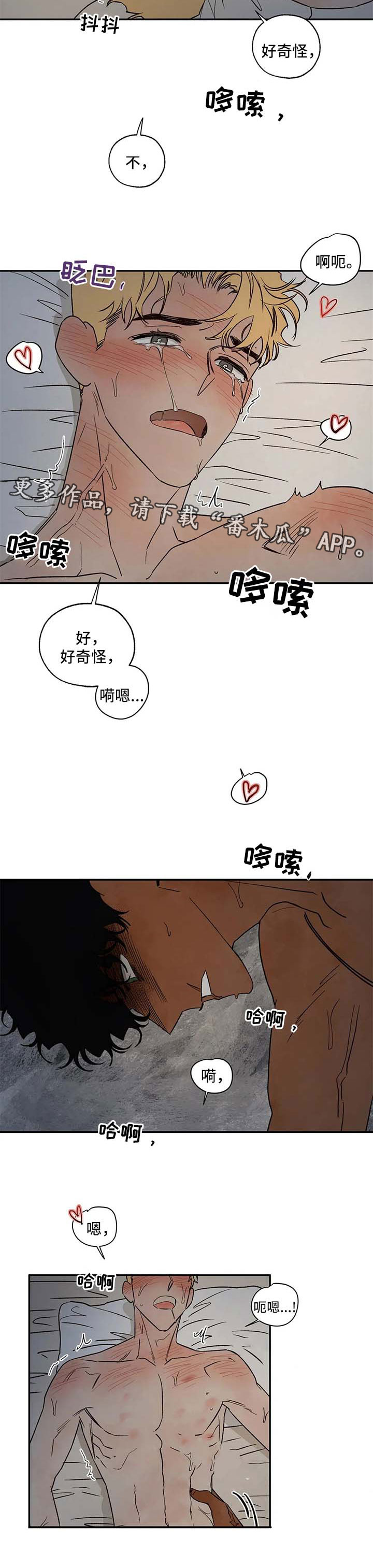 血之诅咒漫画,第36章：还不够1图