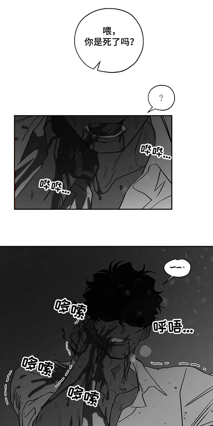 血之诅咒漫画,第71章：圣诞快乐！！！1图