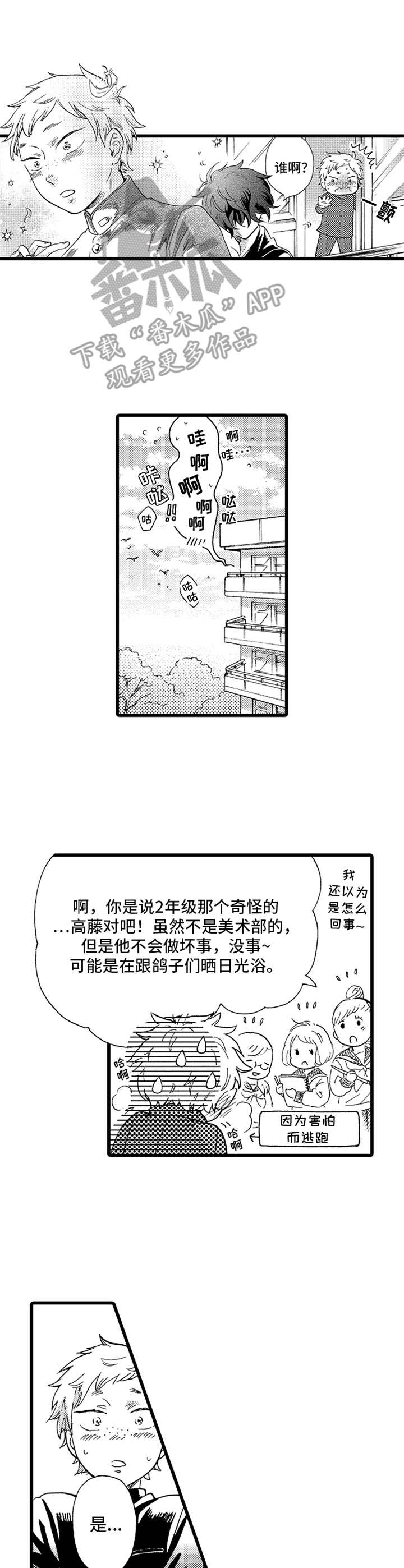 德君金业国际金价漫画,第13章：鸽子1图