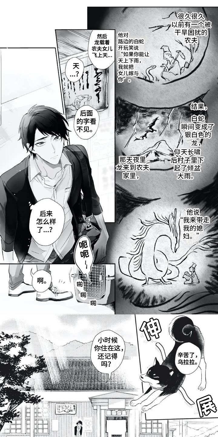 龙神的哑巴爱人txt漫画,第1章：等我的娘子1图