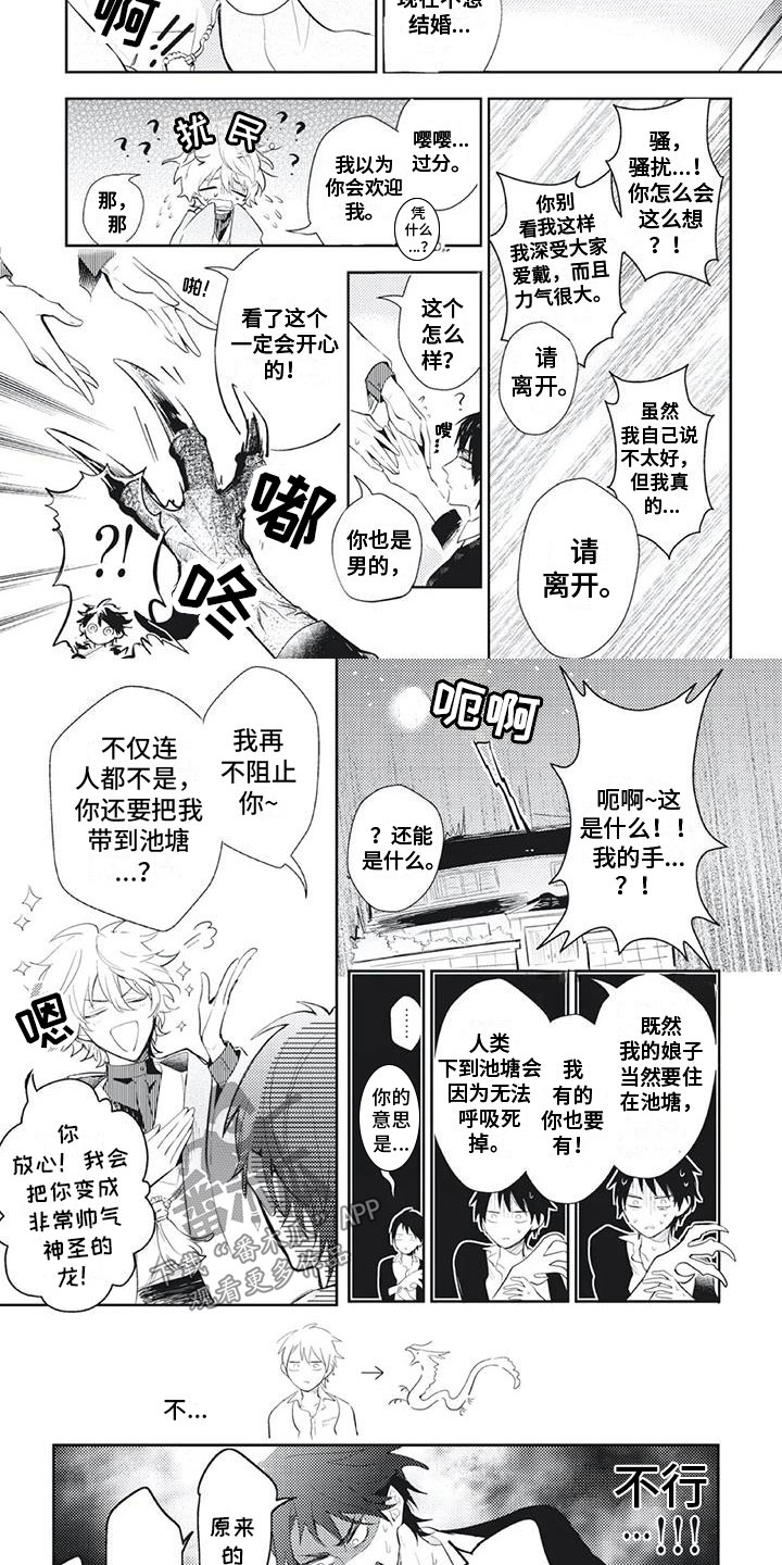 龙逆鳞有几片漫画,第6章：想做你的家人2图