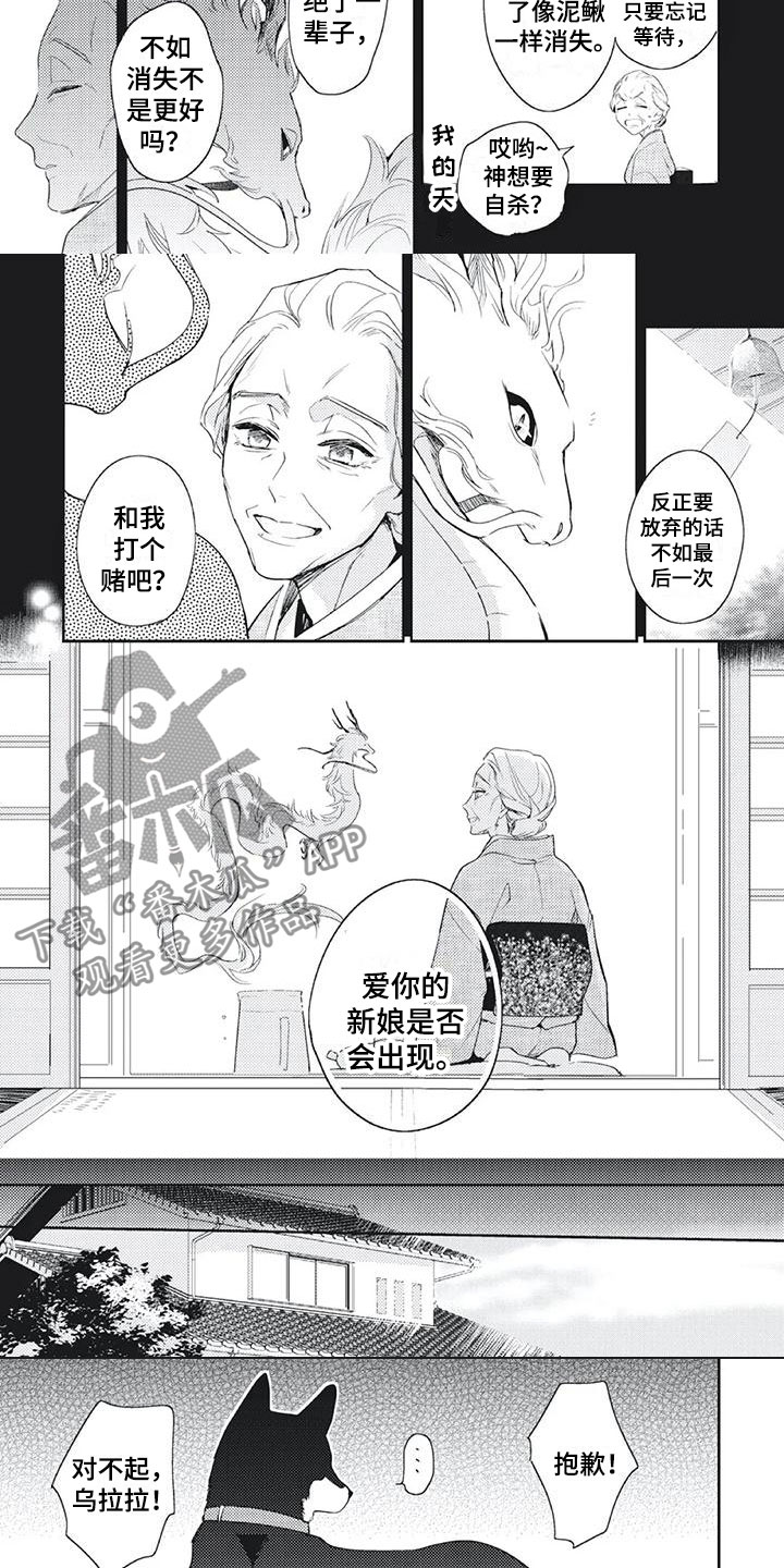 龙神的哑巴爱人txt漫画,第52章：打赌2图