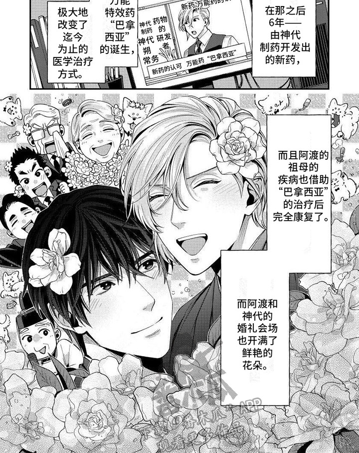 提取万能药漫画,第15章：取得成功（完结）1图