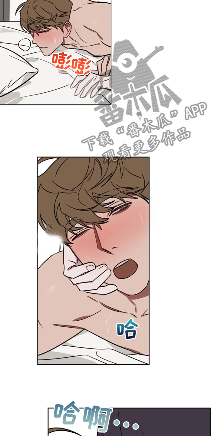 复读画室漫画在线观看完整漫画,第110章：【番外】考试前夜2图
