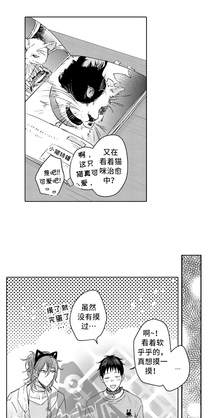 猫不会喵喵叫漫画,第18章：钥匙1图