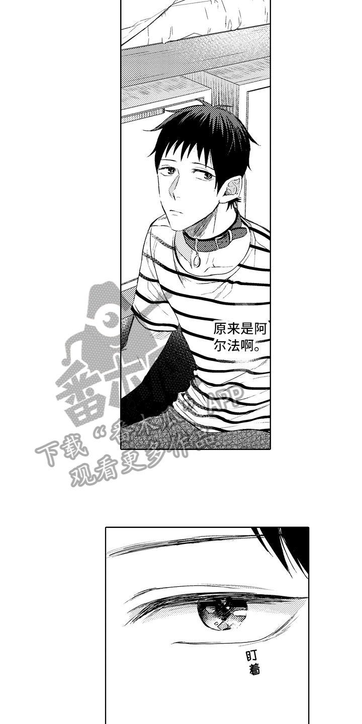 我会一直一个人平平淡淡过文案漫画,第6章：阿尔法2图