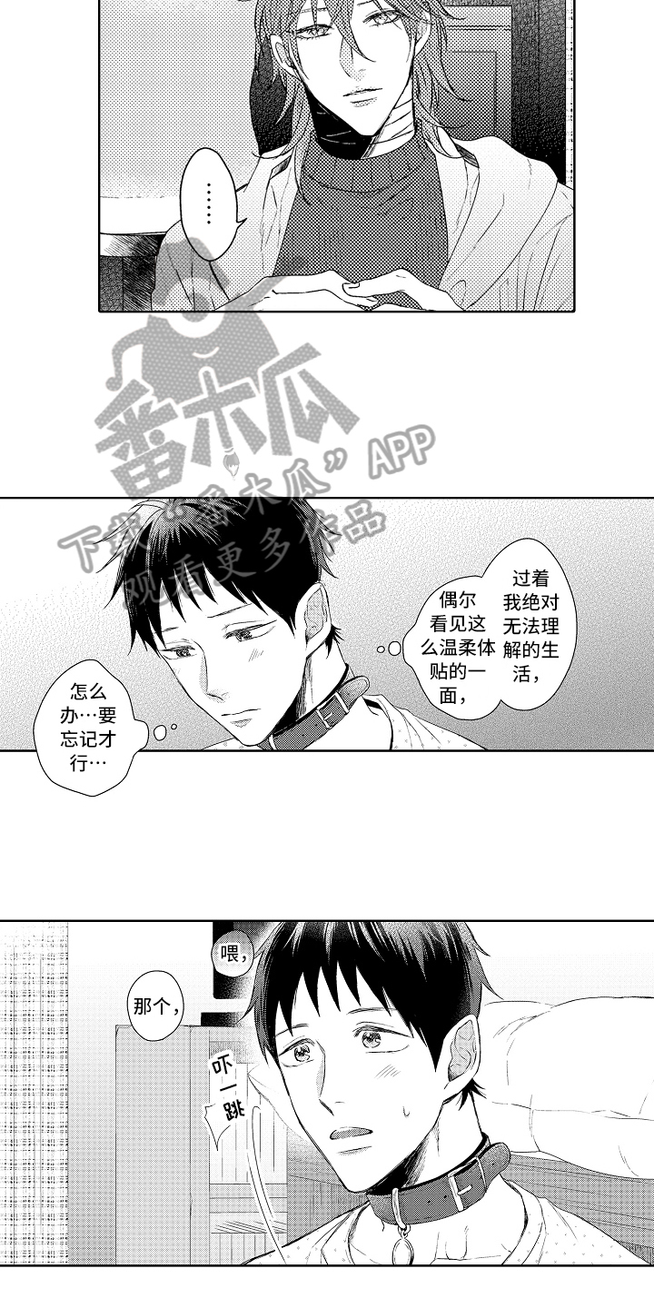 只会喵喵叫漫画,第11章：下厨2图