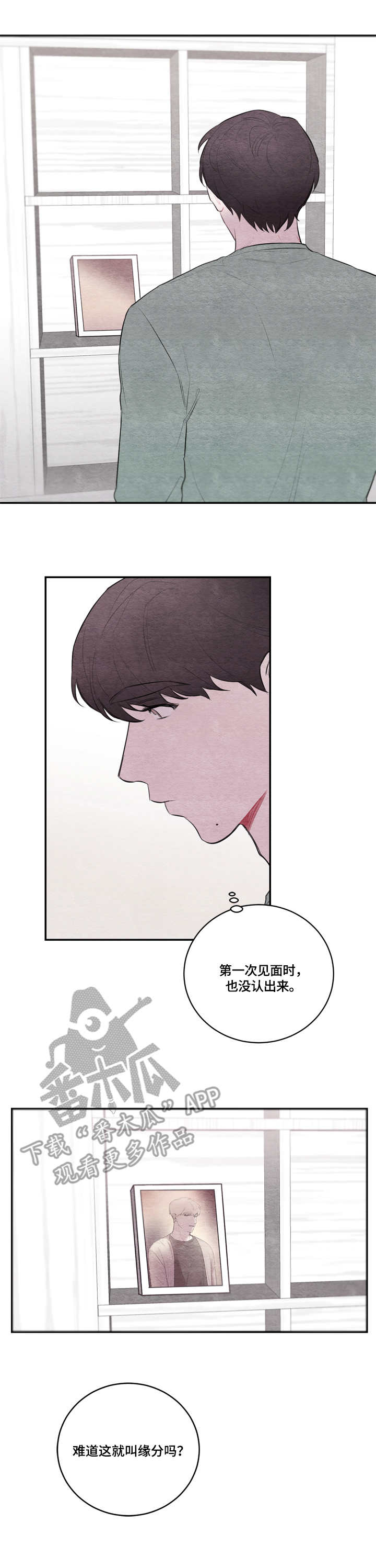 我的祖国漫画,第26章：整理2图