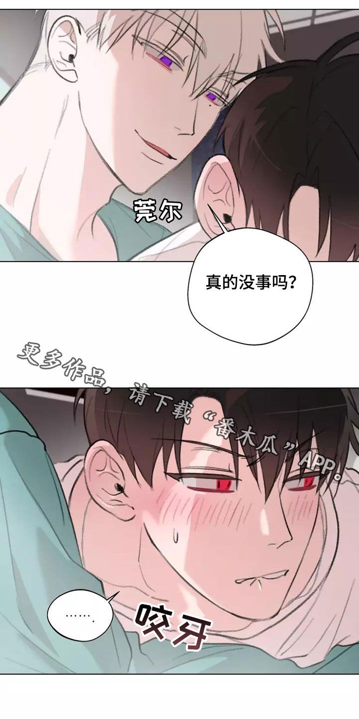熟人惯犯漫画无删减版在线观看漫画,第12章：够了1图