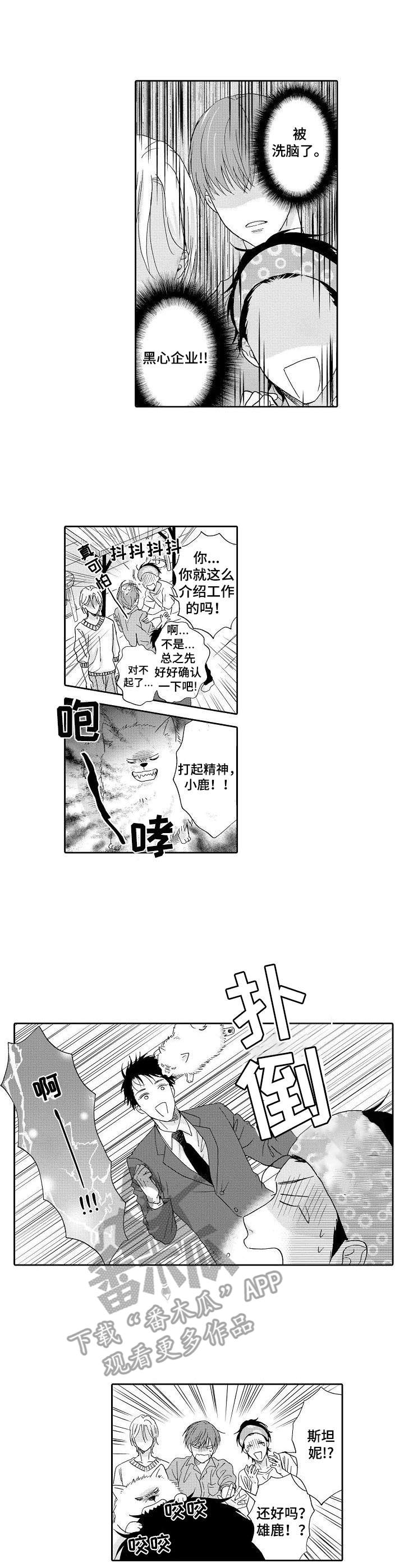 不会咬人的狗漫画,第10章：黑心公司2图