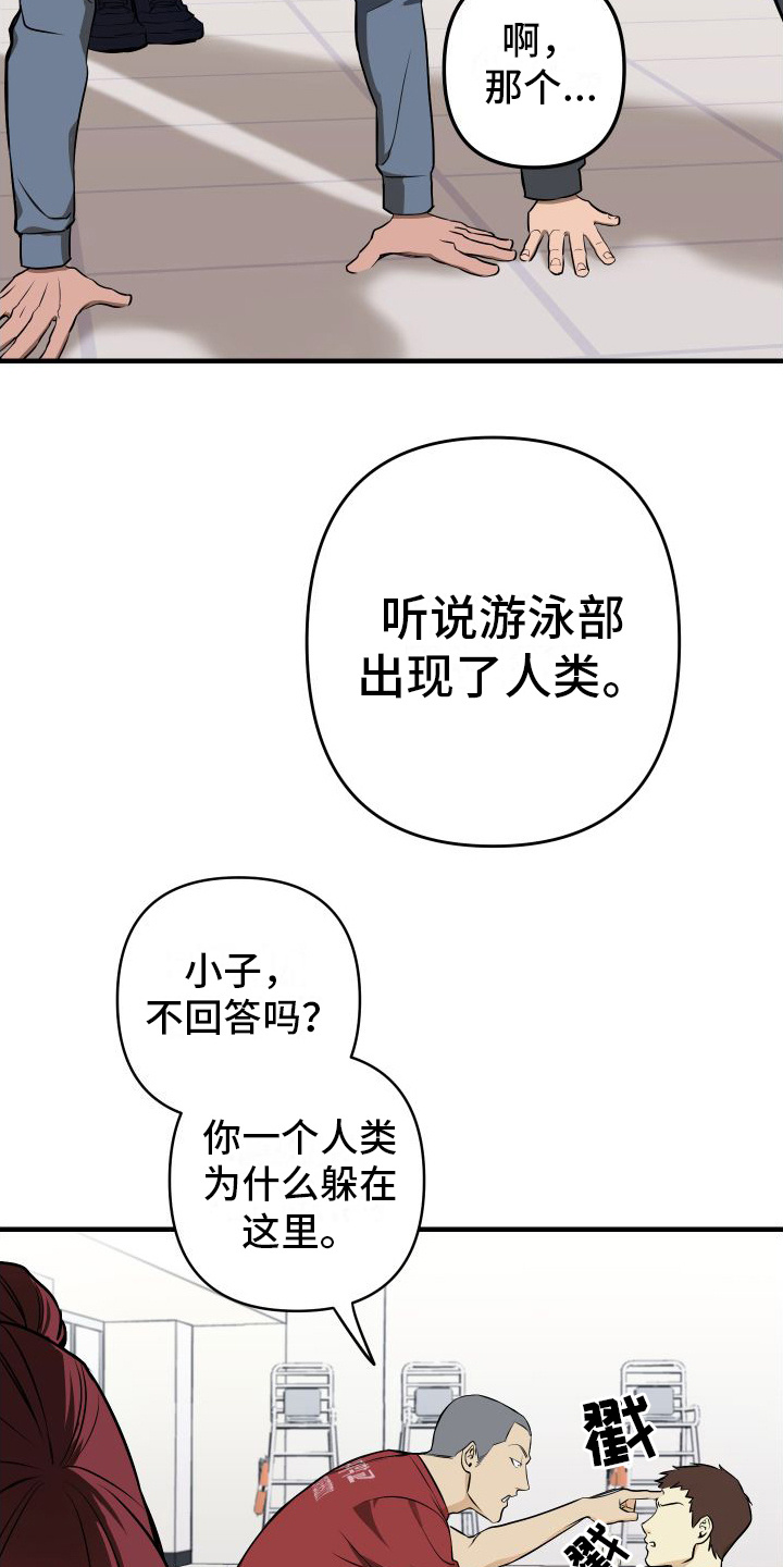 大鲨鱼漫画,第2章：游泳部2图