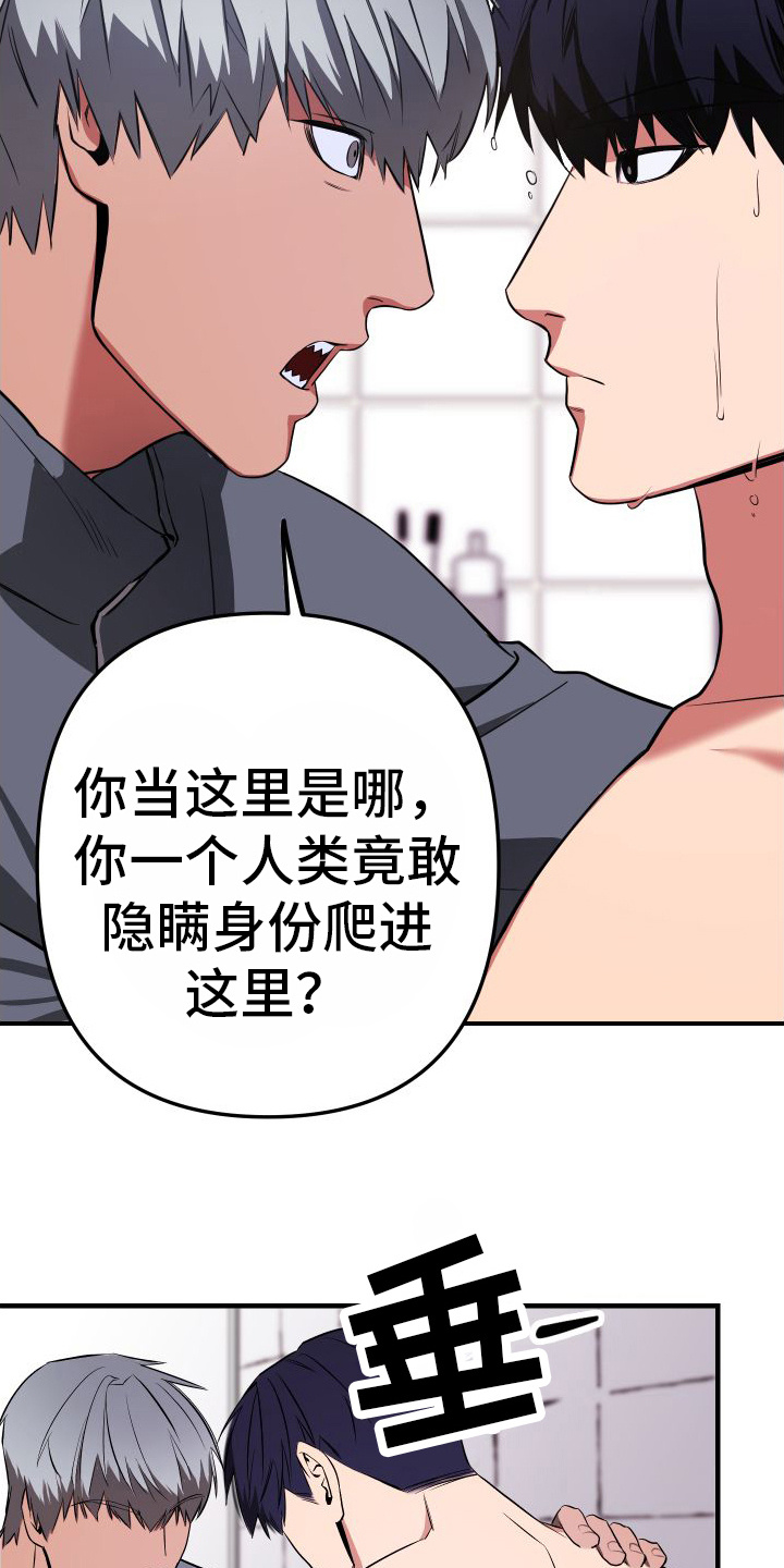 大鲨鱼脚本下载漫画,第3章：人类的味道2图