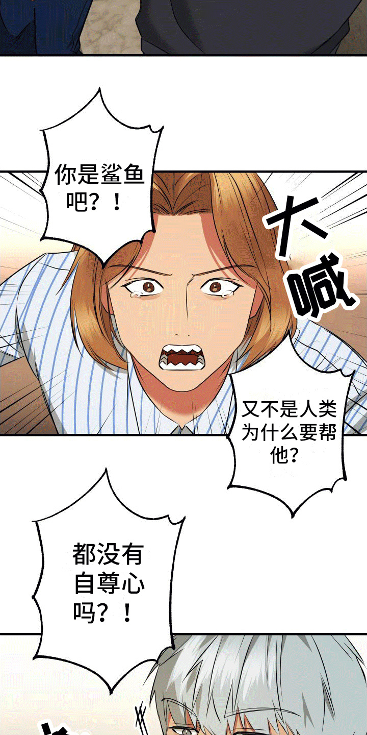 大鲨鱼3代怎么样漫画,第7章：受伤2图