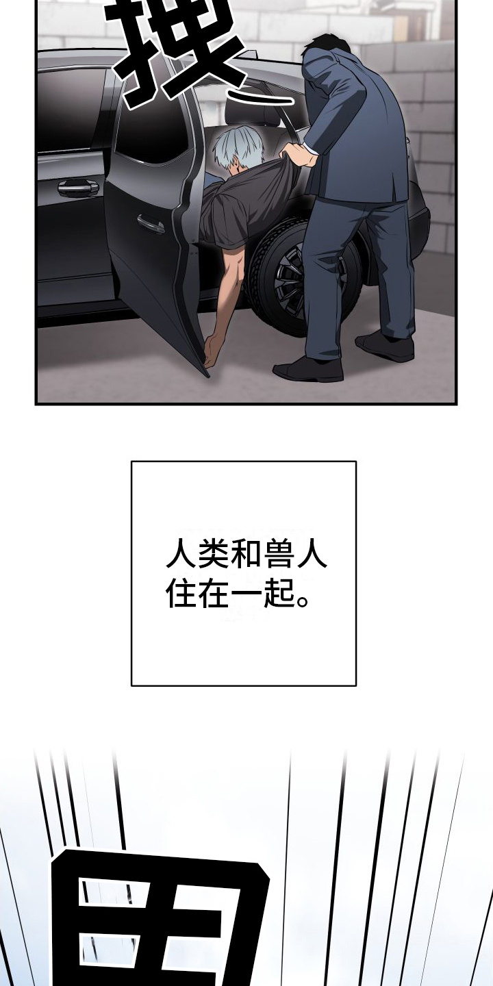 大鲨鱼影视漫画,第1章：讨债2图