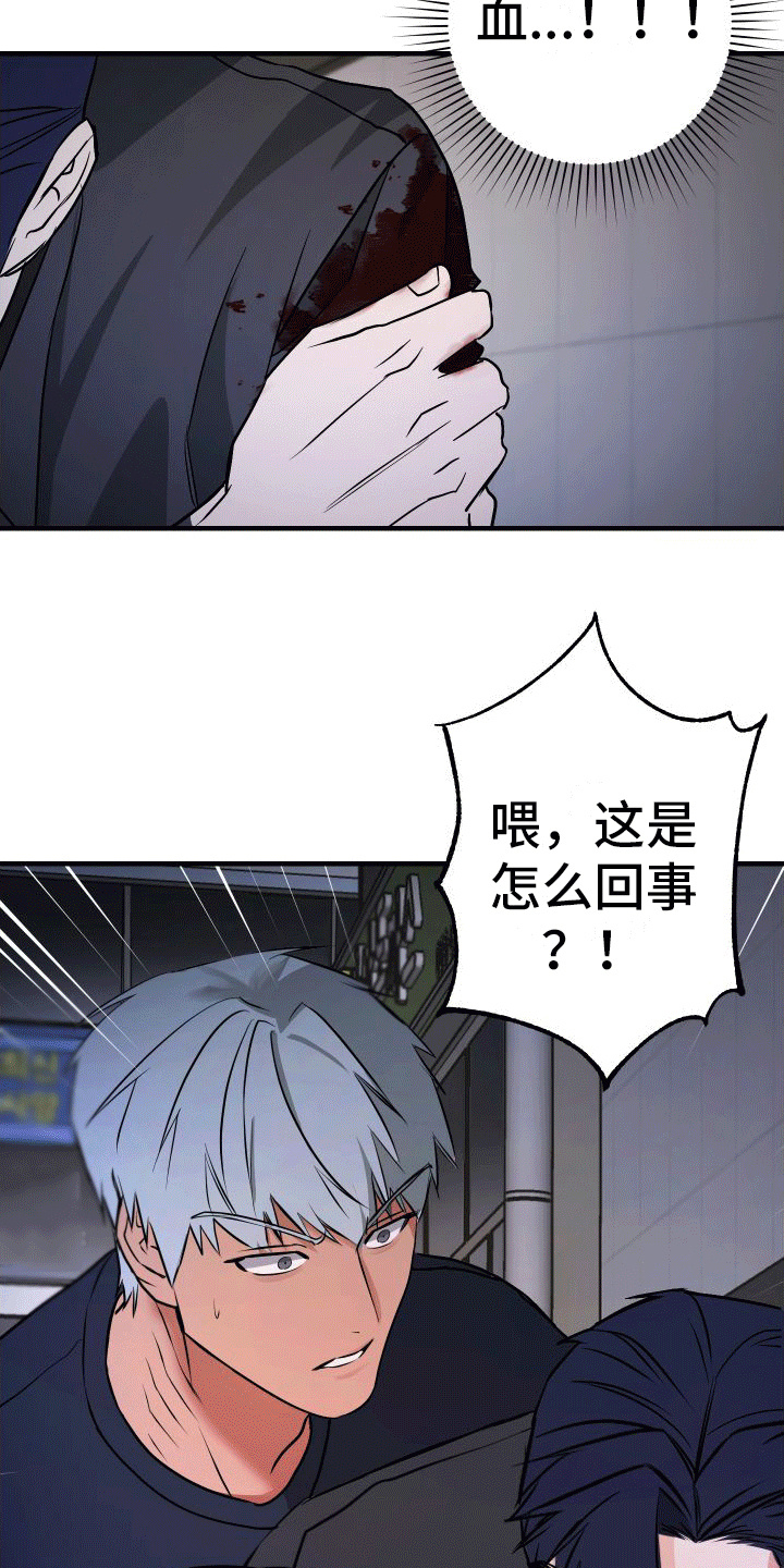 大鲨鱼的福利漫画,第7章：受伤1图