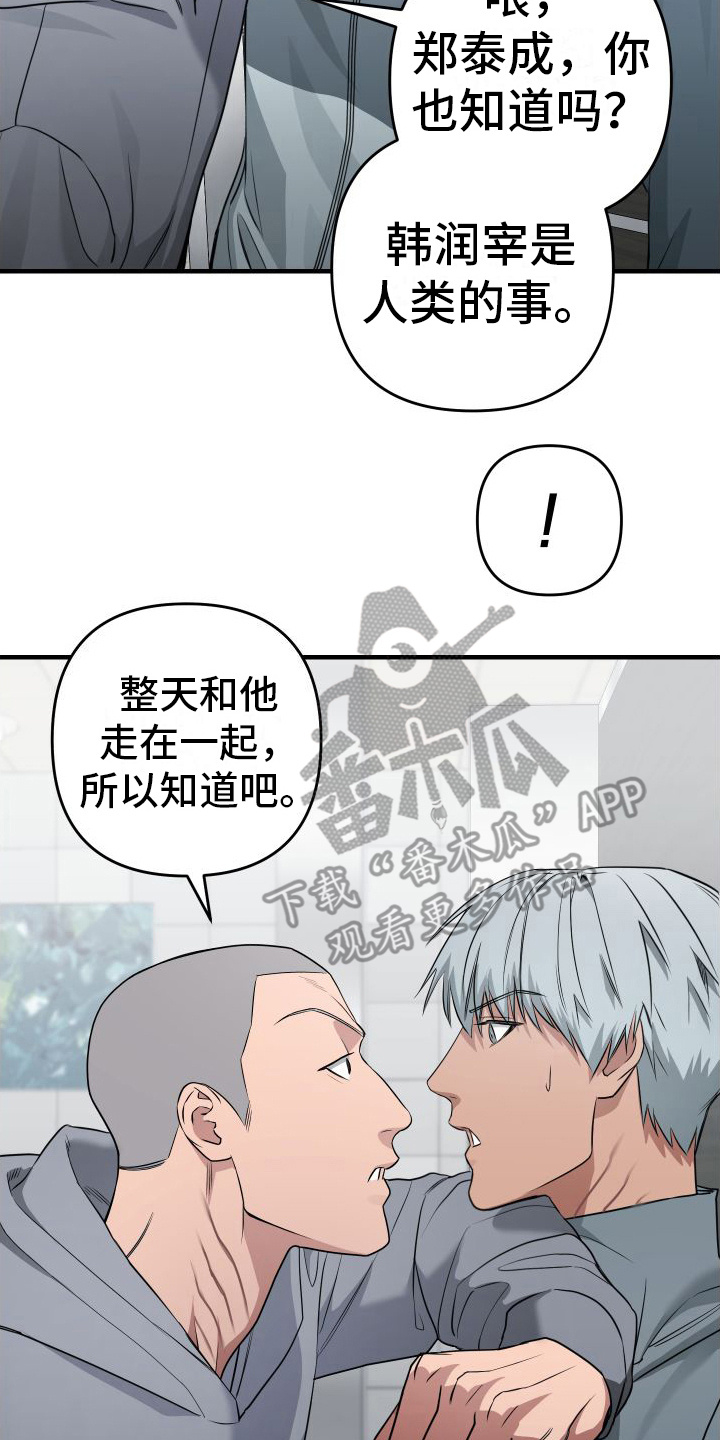 大鲨鱼的视频漫画,第15章：密谋2图