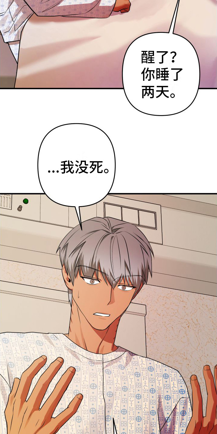 大鲨鱼脚本下载漫画,第17章：出手帮忙1图