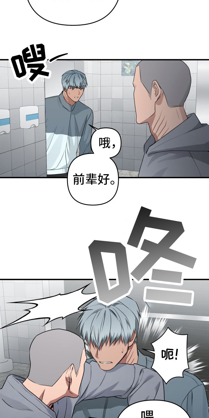 大鲨鱼的视频漫画,第15章：密谋1图