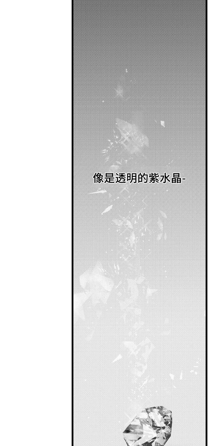 紫水晶的辨别漫画,第20章：去找他1图