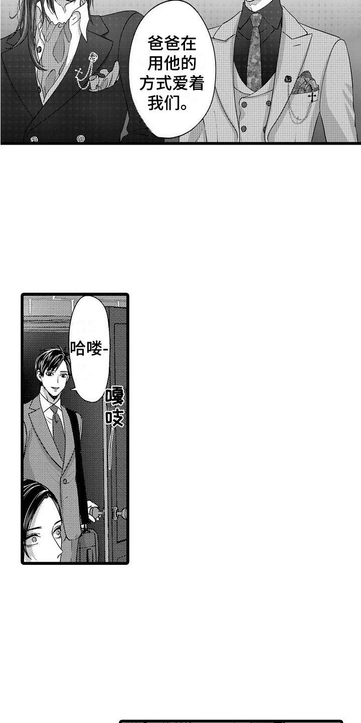 紫水晶的摆件摆放禁忌漫画,第26章：父亲的忧郁【完】2图