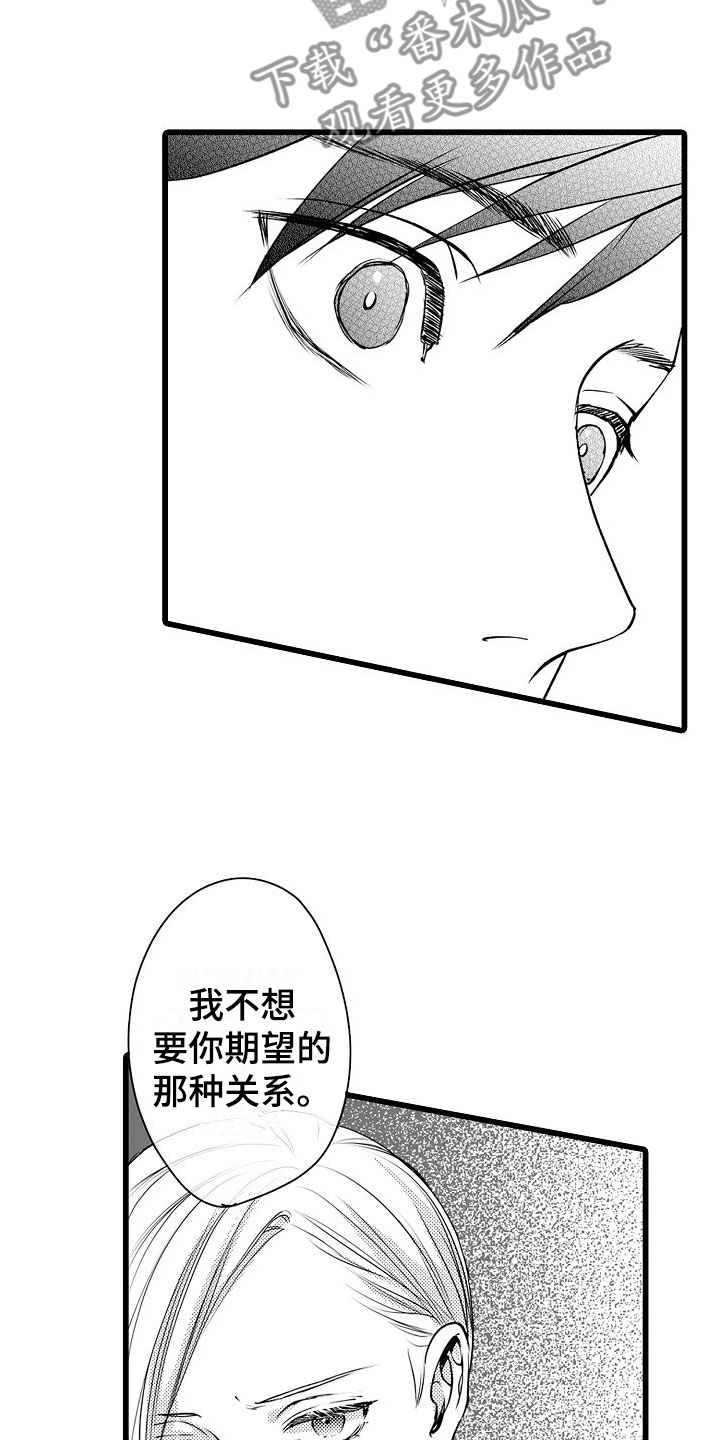 紫水晶的象征意义漫画,第17章：拒绝2图