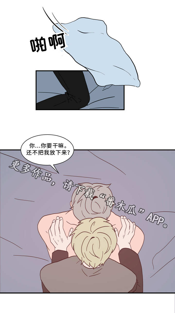 人形玩偶定制模板漫画,第61章：引狼入室2图
