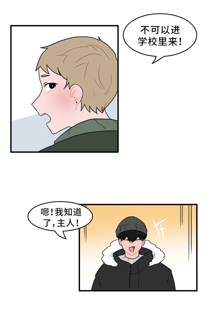 人形玩偶和毛绒玩具是一回事吗漫画,第54章：又遇见了1图